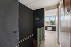 FH (31).jpg