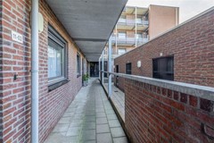 FH (11).jpg