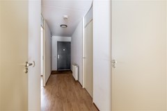 FH (13).jpg