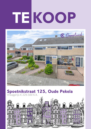 Brochure preview - Spoetnikstraat 125, 9665 GC OUDE PEKELA (1)