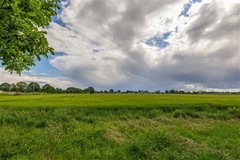 FH- (43).jpg