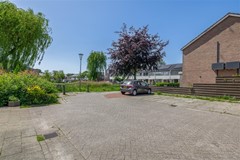 FH (38).jpg