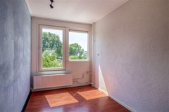 FH (29).jpg