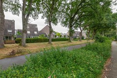 FH (38).jpg