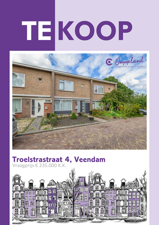 Brochure preview - Troelstrastraat 4, 9645 JC VEENDAM (1)