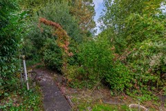 FH (32).jpg
