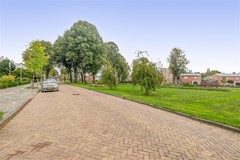 FH (42).jpg
