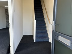 IMG_2388.jpg