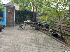 tuin2.JPG