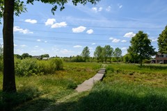 De Lingert 6499-A Wijchen 050.jpg
