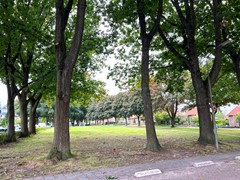 IMG_1799.JPG