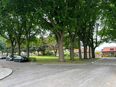 IMG_1800.JPG