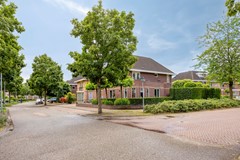 Weegbree376601HCWijchenNL-05.jpg