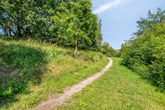 Weegbree376601HCWijchenNL-50.jpg