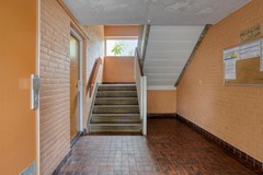 Meijhorst31506537HWNijmegenNL-05.jpg