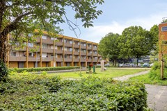 Meijhorst31506537HWNijmegenNL-33.jpg