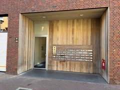 IMG_5943.JPG