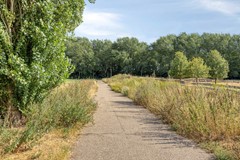 Vieracker25B6581JVMalden-34.jpg
