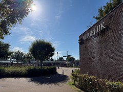 IMG_6594.JPG