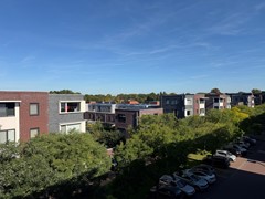 IMG_6592.JPG