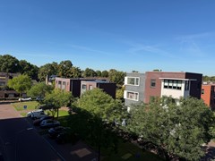 IMG_6593.JPG