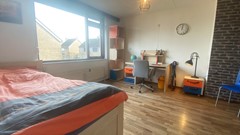 WhatsApp Image 2026-02-16 at 12.01.58.jpeg