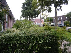 De Hop 171, 7609 EM Almelo - DSCF8829.JPG