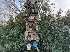 Veenhuizerveldweg 16-67, 3881 RH Putten - Vogel.jpg