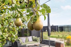 Oeverwalhof 2 - Almere - Van de Avoort-12.jpg