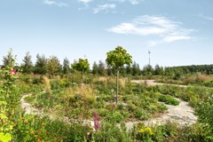 Oeverwalhof 2 - Almere - Van de Avoort-48.jpg