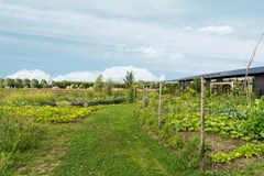 Oeverwalhof 2 - Almere Van der Avoort-62.jpg