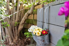 42-Zeisstraat 37 - Purmerend.jpg