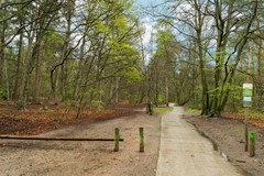 77-Bilderdijklaan 6 - Ermelo.jpg