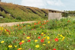 67-everwalhof 2 - Almere.jpg