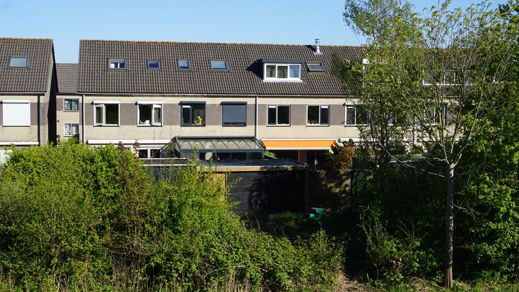 75.jpg