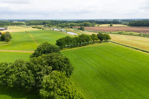Medium property photo - Anholtseweg 49, 7081 CL Gendringen