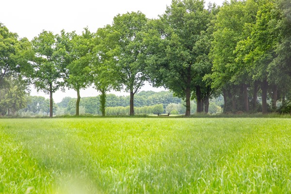 Medium property photo - Anholtseweg 49, 7081 CL Gendringen