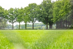 Anholtseweg_49_Gendringen_Foto-78.jpg