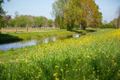 Luimesweg_20_Breedenbroek_Foto-60.jpg