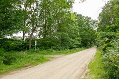 Westelijke_Oude_Aaltenseweg_Varsseveld_Foto-3.jpg