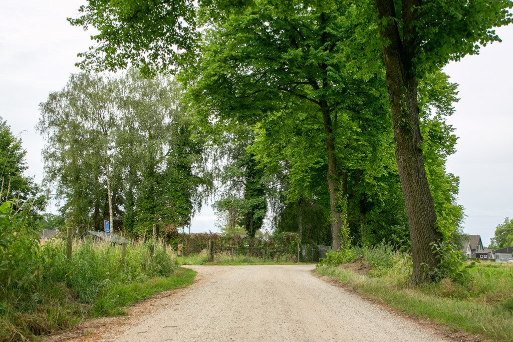 Westelijke_Oude_Aaltenseweg_Varsseveld_Foto-6.jpg