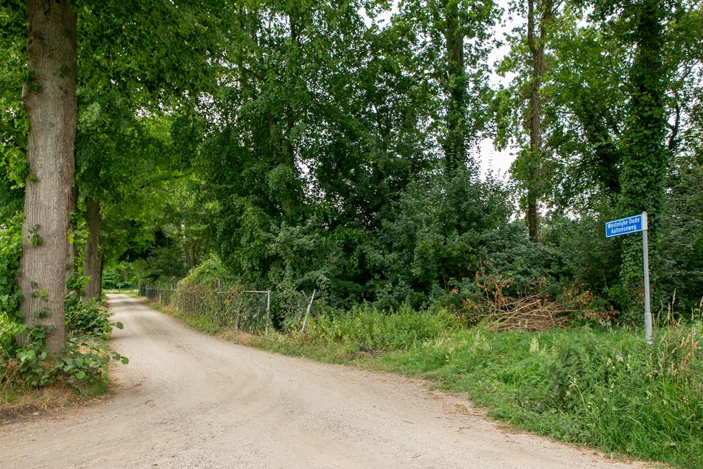 Westelijke_Oude_Aaltenseweg_Varsseveld_Foto-1.jpg
