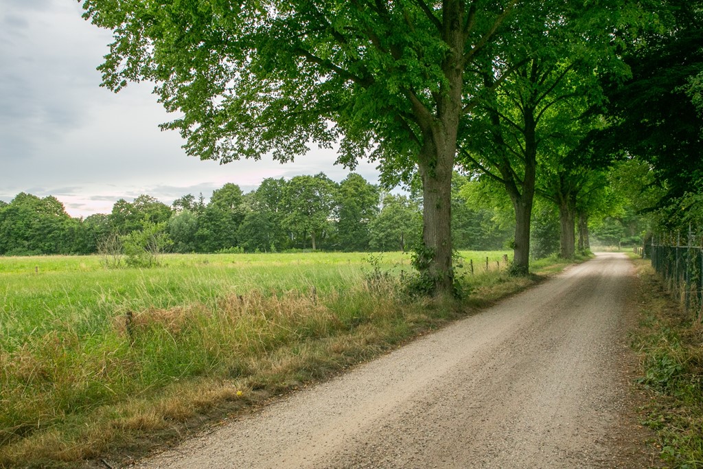 Westelijke_Oude_Aaltenseweg_Varsseveld_Foto-9.jpg