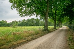 Westelijke_Oude_Aaltenseweg_Varsseveld_Foto-9.jpg