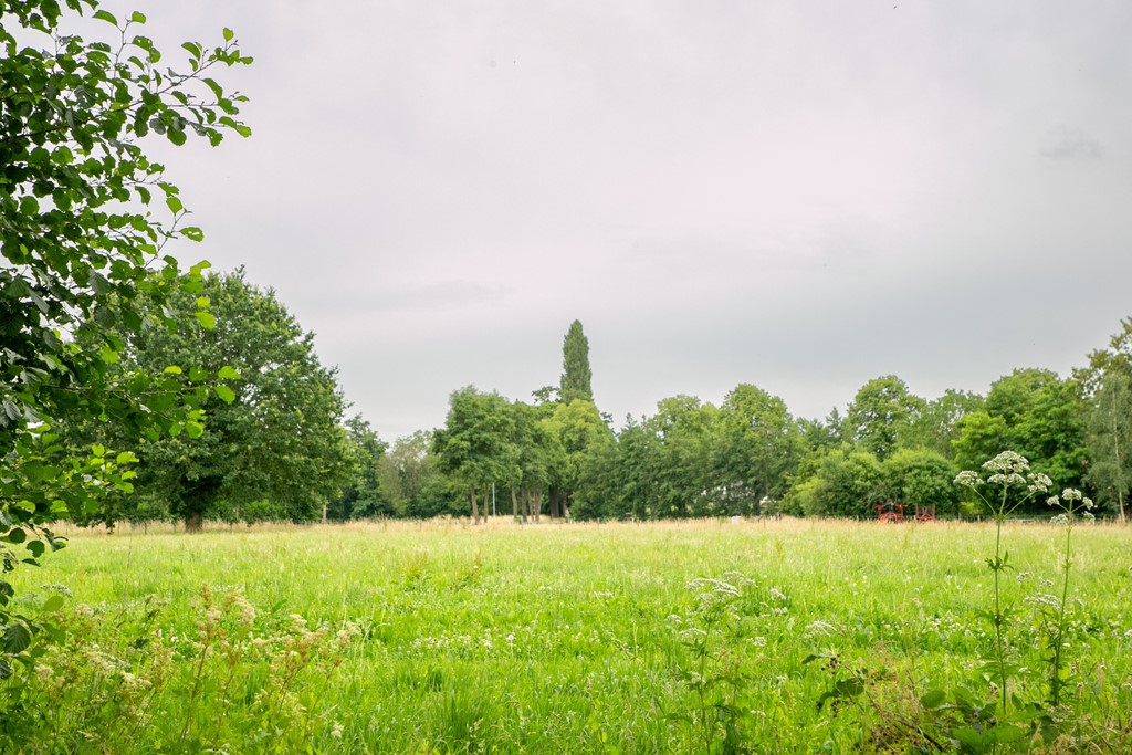 Westelijke_Oude_Aaltenseweg_Varsseveld_Foto-11.jpg