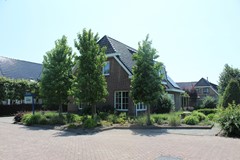 IMG_4774.jpg