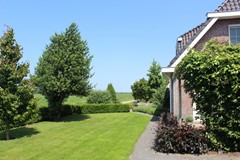 IMG_4812.jpg