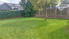 IMG-20250807-WA0012.jpg