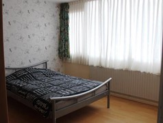 IMG_4848.JPG