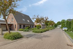 Lavendelheide87765BZWeiteveen-02.jpg